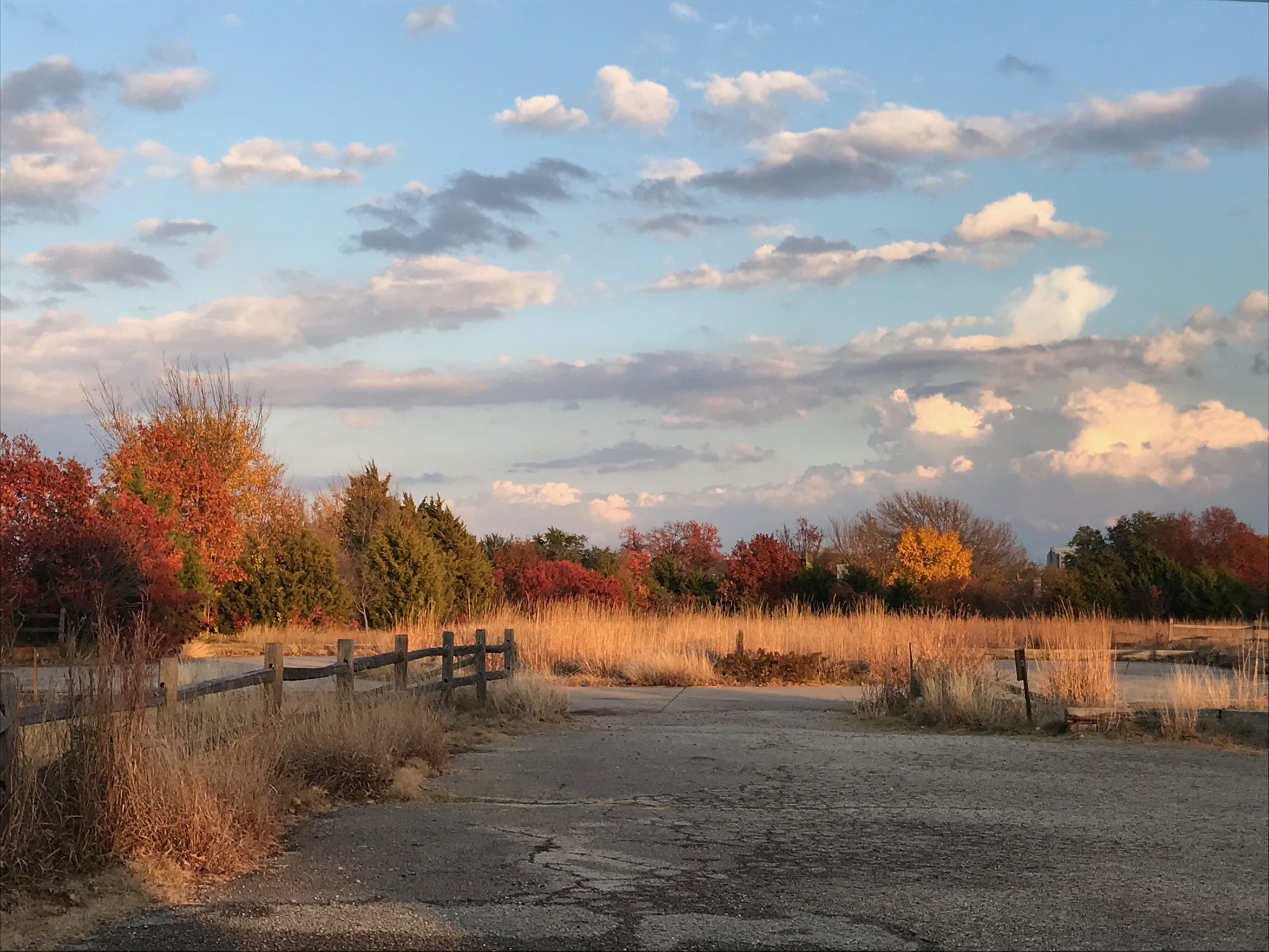 Frankford Prairie in the fall - photo Laura Burford