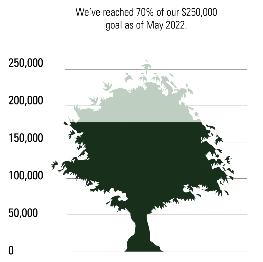 Thermometer tree - 70% of goal by May 17, 2022